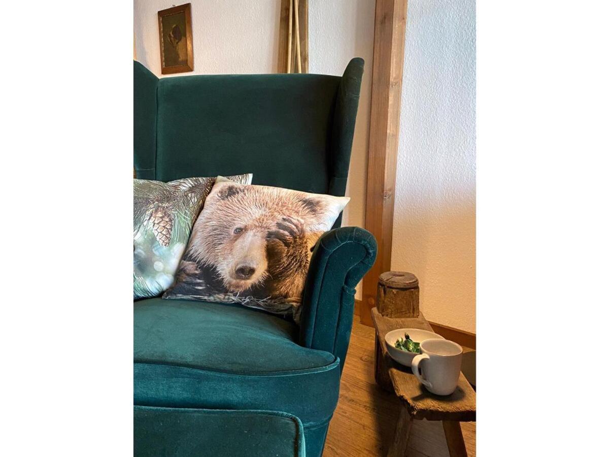 Harzer Schatz - Bergpack Apartment *