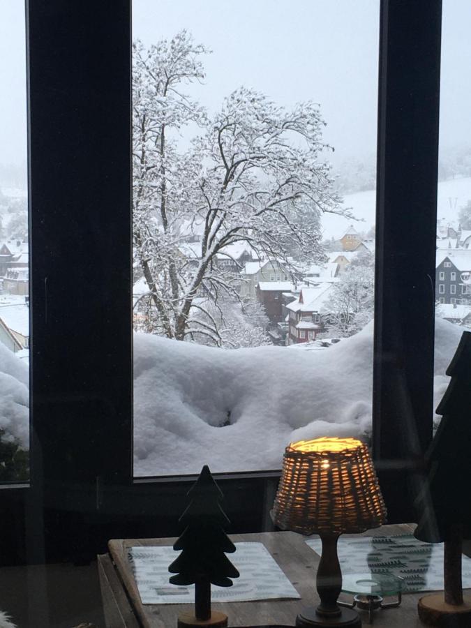 Harzer Schatz - Bergpack Apartment Braunlage